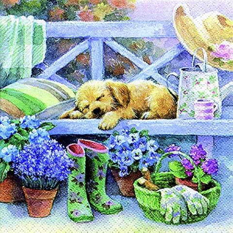 20 Serviettes Relaxation in the Garden as Table Decoration for Spring, Summer and Autumn 33 x 33 cm Cover
