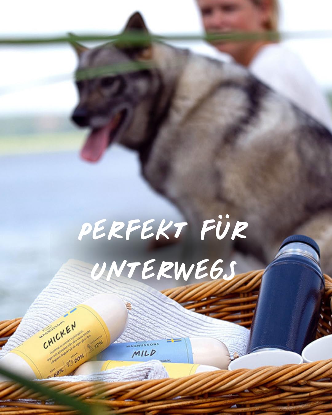 Magnussons Comida húmeda para perros de pollo 12 x 650 g monoproteína pienso completo cocido al vapor