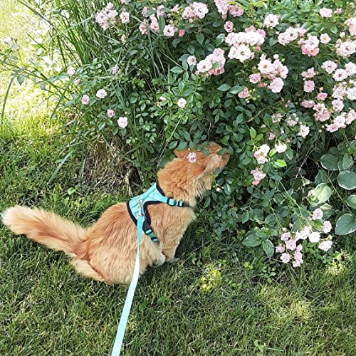 Pupteck Cat Harness And Leash Set- Adjustable Vest Escape Proof Harness For Kitten Small Medium Cats, Retractable Breathable Soft Mesh For Outside With Reflective Strips #TOP3