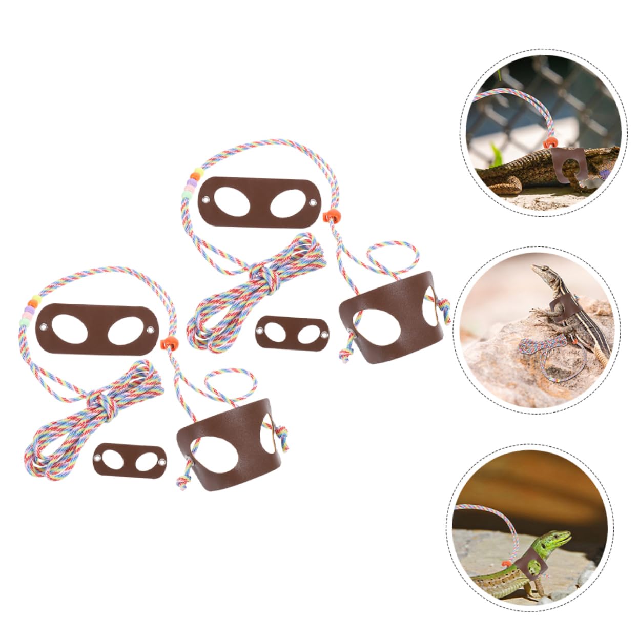 BCOATH Pet Reptile Leash Kit Lizard Harness and Traction Rope for Outdoor Walk