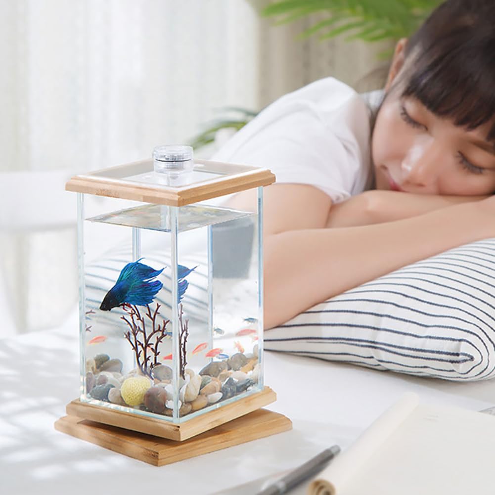 Amazon | マイクロビューボトル生態水族館、ミニ回転魚強化ギフト