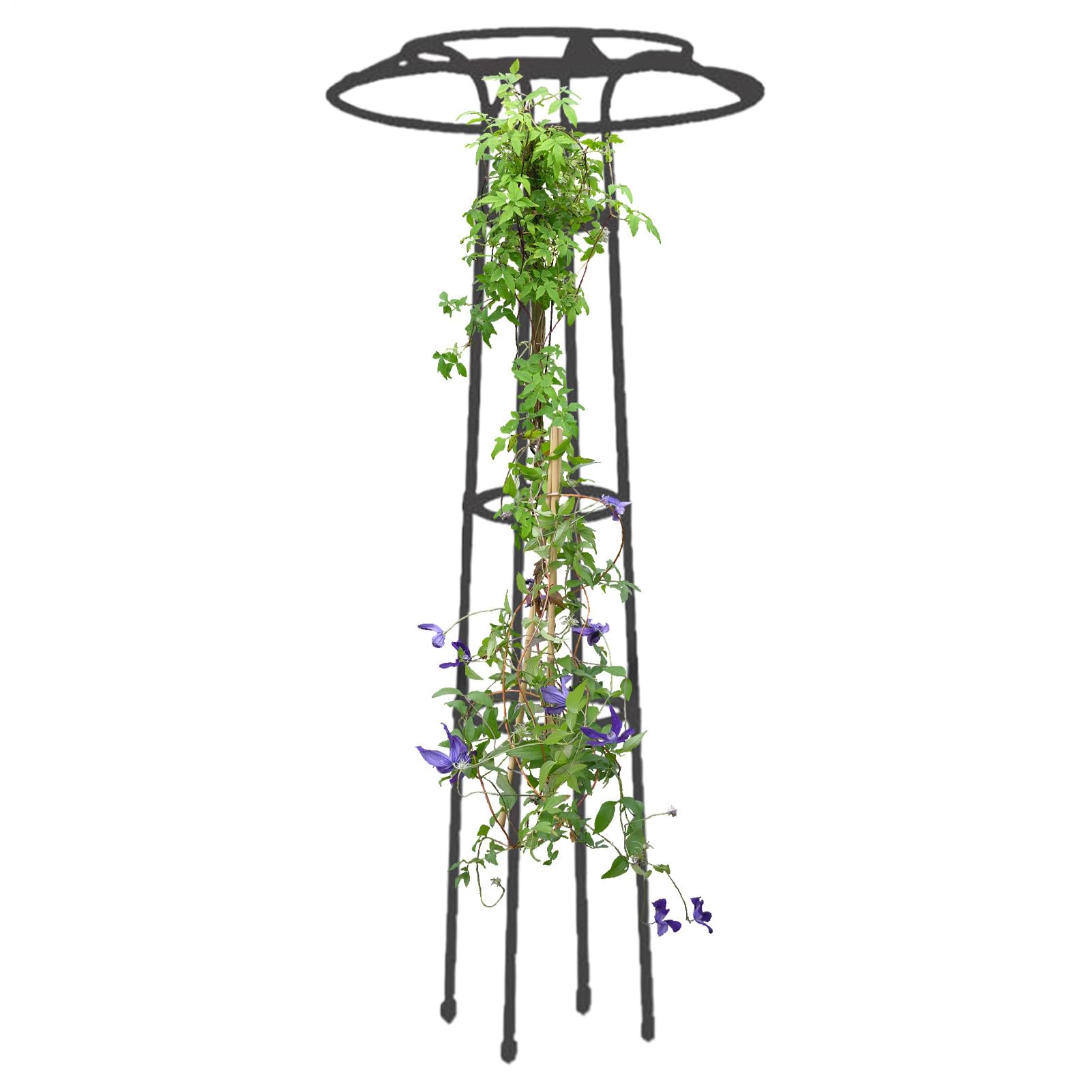 Treillis pour potager et support de fleurs de jardin en serre