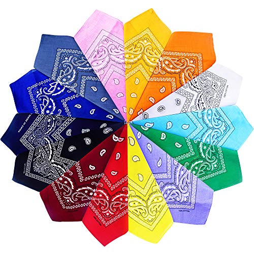 Gudotra Bandana Paisley Hip Hop Multicolore en Coton pour Cheveux Cou Main Sac à Main (14pcs)