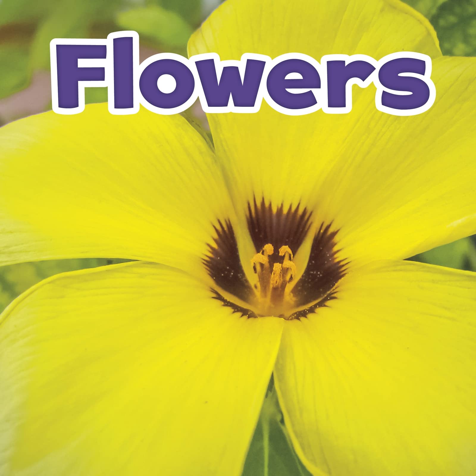 Plant Parts: Flowers