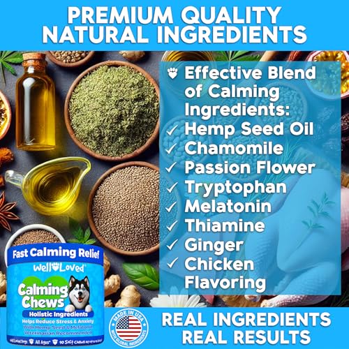 Calming Chews for Dogs  Dog Calming Treats Made in Usa Vet Developed Dog Anxiety Relief Separation Fireworks Travel  Stress Support Melatonin Natural  Holistic 90 Calming Treats  Cucciolini Doodles Calming chews for dogs  dog calming treats made in usa vet developed dog anxiety relief separation fireworks travel  stress support melatonin natural  holistic 90 calming treats   cucciolini doodles