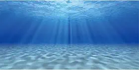 Fundo de aquário com tema submarino luz do sol mundo subaquático fundo de aquário 91 x 45 cm