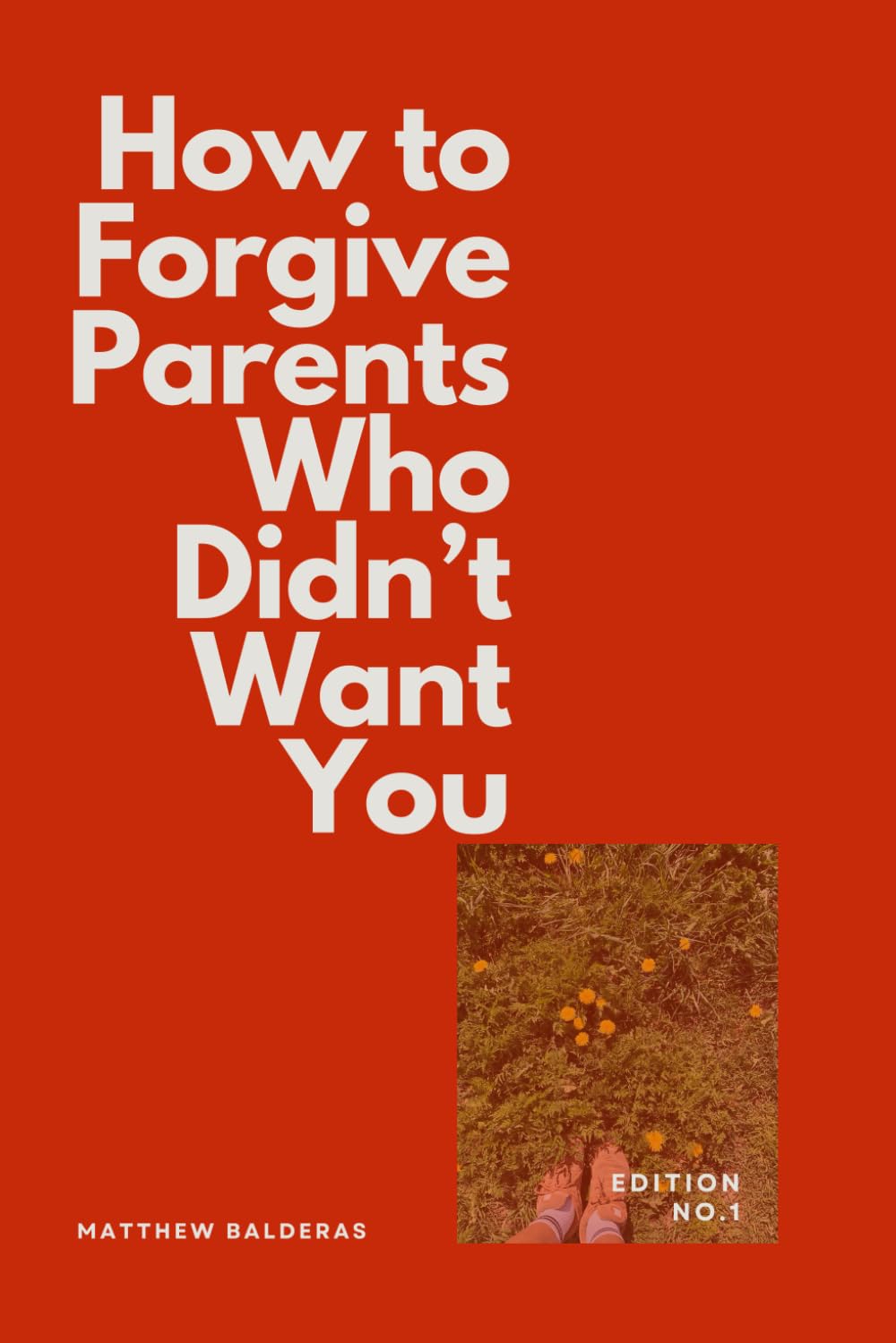 How to Forgive Parents Who Didn't Want You: a quiet guide to forgiveness without reconciliation, and peace without permission