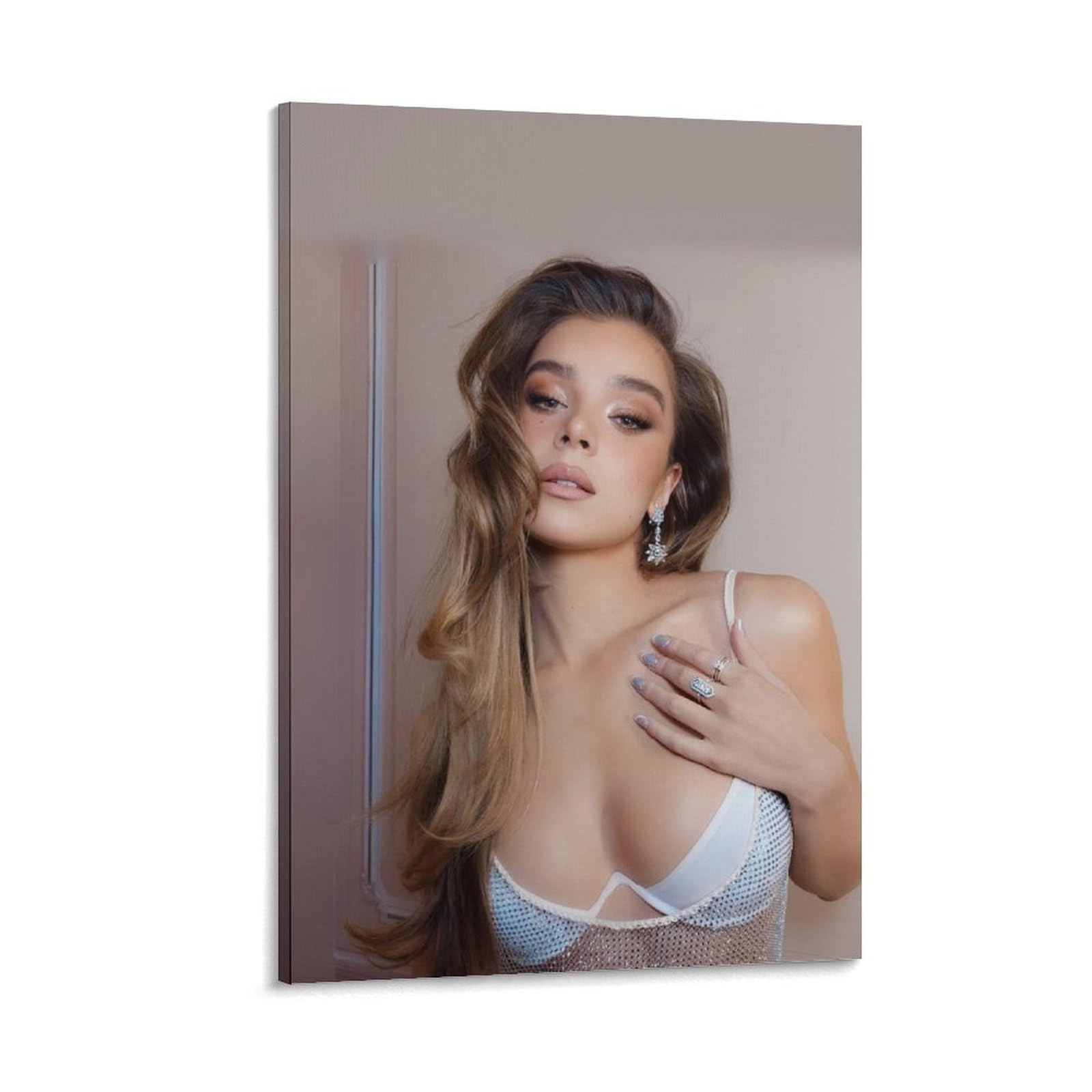 Hailee Steinfeld Actress And Singer Sexy Poster 23 Canvas Poster Wall Art  Picture Prints Hanging Photo Gift Idea Decor Home Posters Artworks  16x24inch(40x60cm) : Amazon.ca: Home