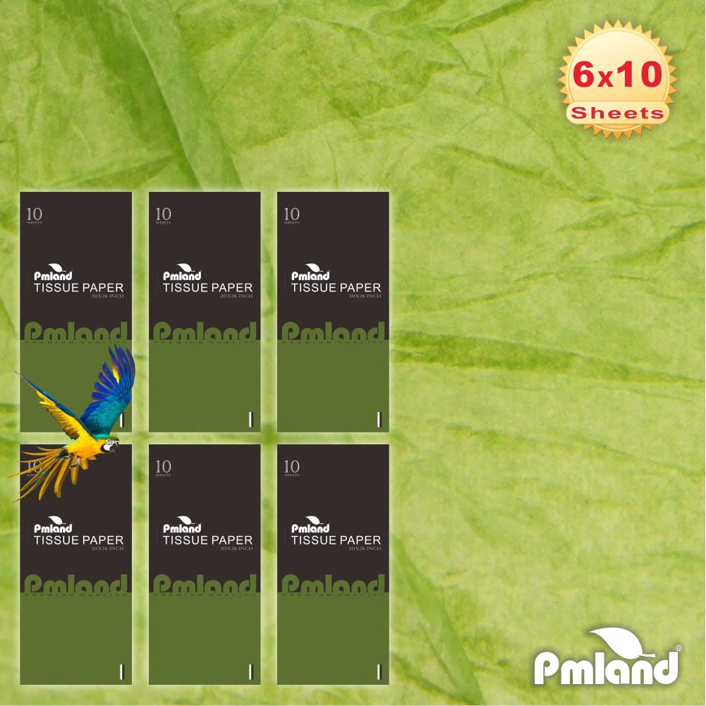 Amazon.com: PMLAND Gift Wrapping Tissue Paper - Vibrant Lime Green Color -  Large 26 x 20 Inches, 60 Sheets : Health & Household