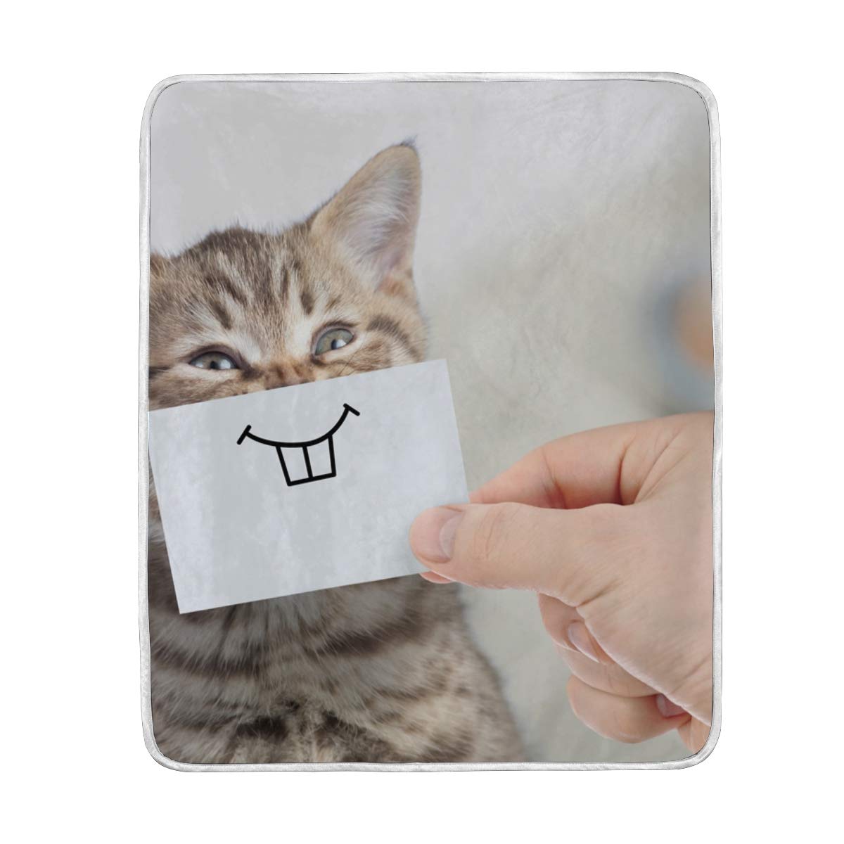 ノート 追う アスペクト 子猫 冷房 Bellshistoricaldioramas Com