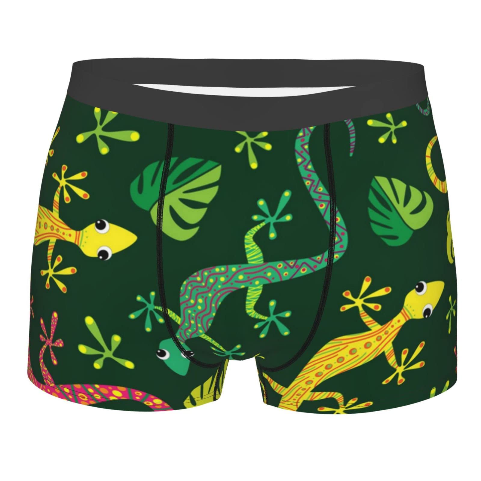 Anceky Men's As Pic Underwear Boxer Briefs Pouch Trunk Boxer Shorts, Colorful Lizard Gecko Native