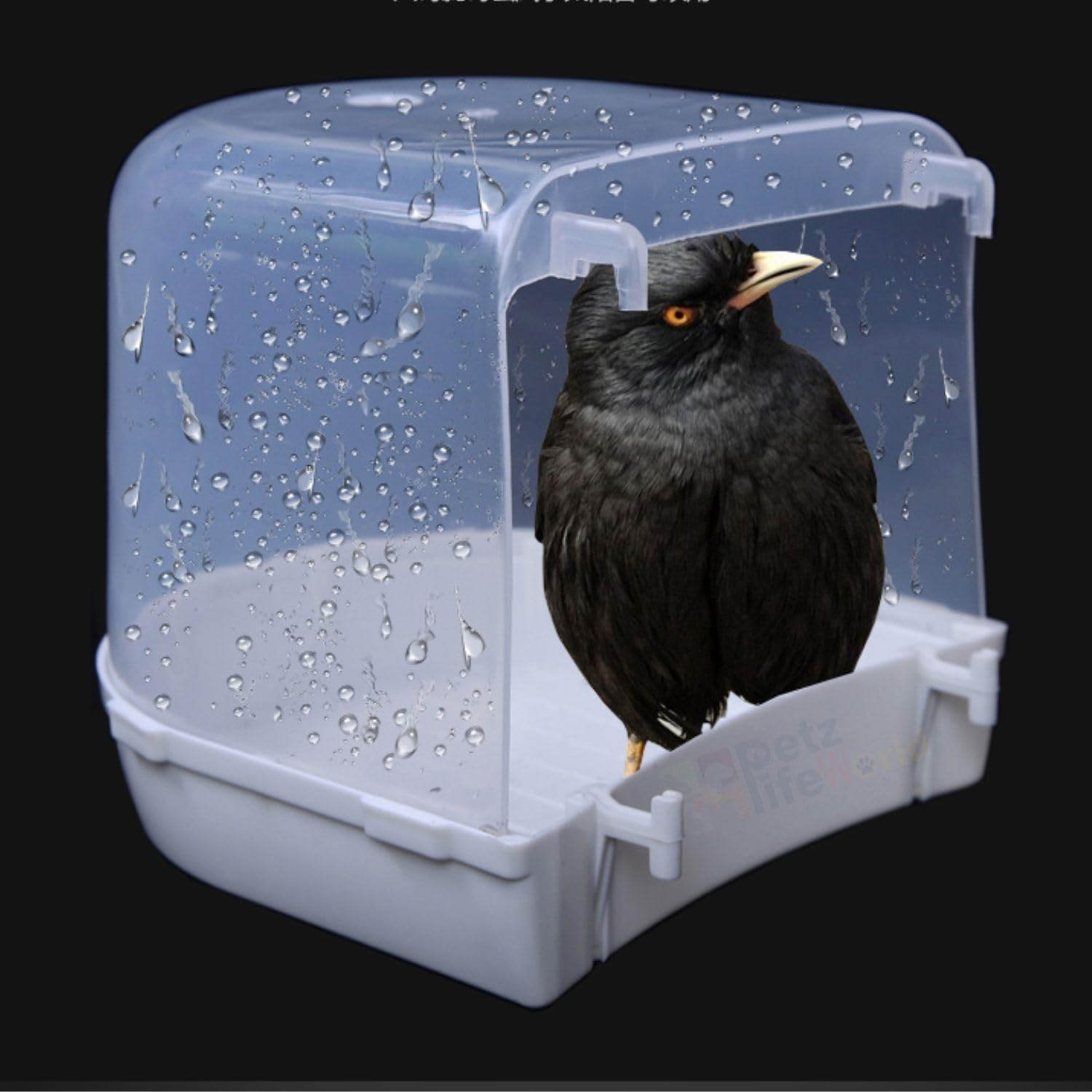 VAYINATO® Plastic Birds Bath Tub (Random Colour) Hanging Bath Tub Birds Cage Acessories Suitable for All Small Birds | Made of Plastic | Non Breakable By Petzlifeworld 2