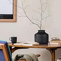 Vista 9 de Happyyami Florero de metal mate seco para flores, arreglo floral, soporte para macetas, floreros de brotes de flores, maceta para el hogar, mesa