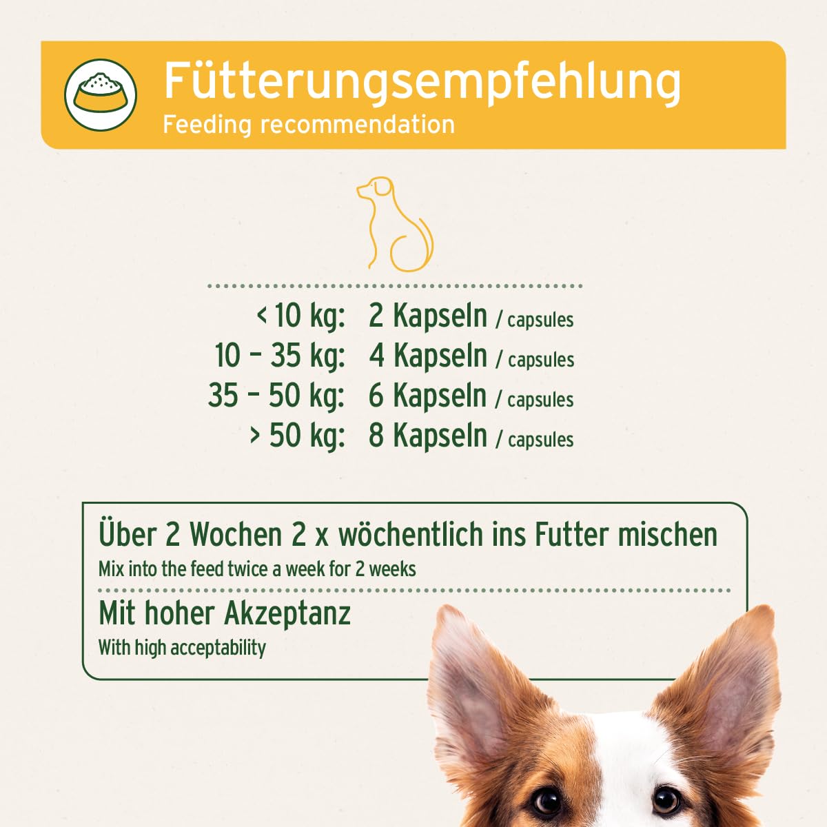 AniForte WermiX pour chiens 50 capsules - produit naturel avant, pendant et après une infestation de vers, l'absinthe, les herbes naturelles harmonisent l'estomac et l'intestin
