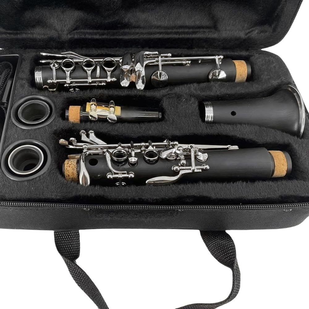 Clarinette en ébonite en Mi bémol avec sacoche rigide de transport et kits d'entretien - Clarinettes professionnelles à 17 touches en Do avec 2 barils pour débutants et orchestres