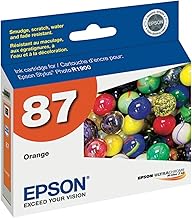 UltraChrome Original -Ink -Cartridge Model T087920