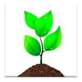 Uses TTS (Text-To-Speech) Audio book - Organic Food