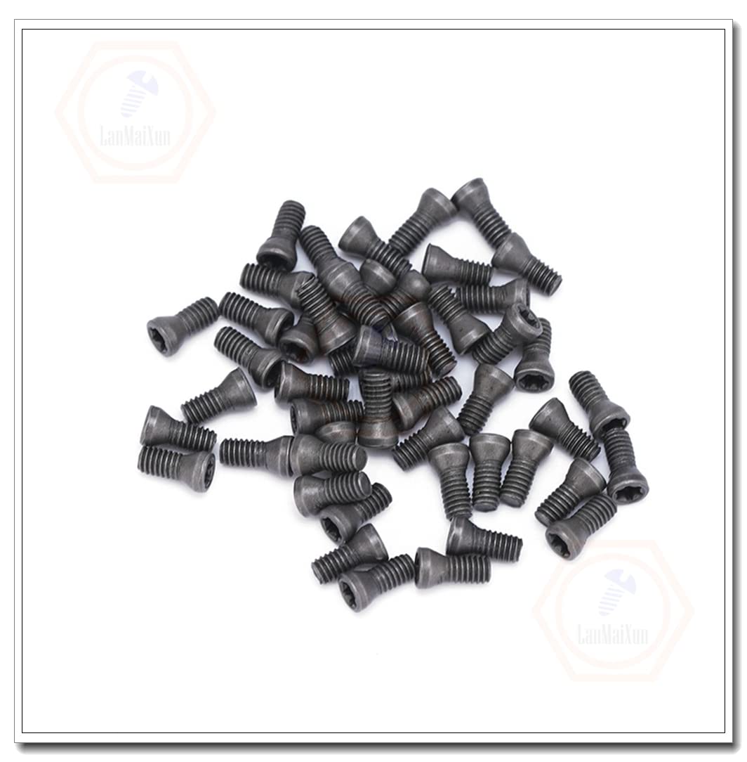 Lot De 10 Vis Torx M2,5 × 8 Mm Pour Remplacer Les Outils De Tour