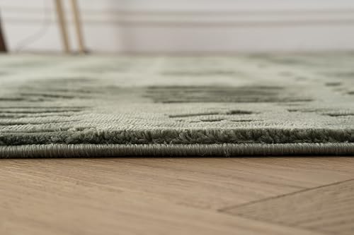 Miniatura 5 de Shell - Alfombra lavable a máquina para sala de estar o dormitorio, 8 x 10 pies, con certificación Oeko-TEX, pelo mediano, color verde