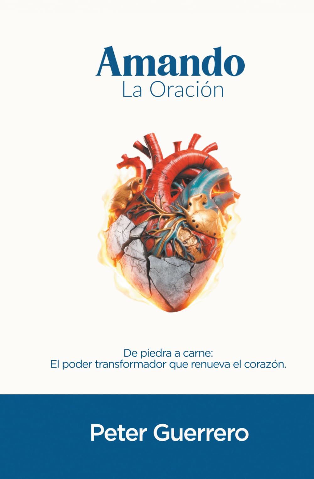 AMANDO LA ORACIÓN: De piedra a carne: El poder transformador que renueva el corazón