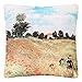 VON LILIENFELD Cuscino Motivo Artistico Claude Monet Papavero Cuscino decorativo 40 x 40 cm Cuscino per divano Deco House Living Room Stampato Copri cuscino con imbottitura