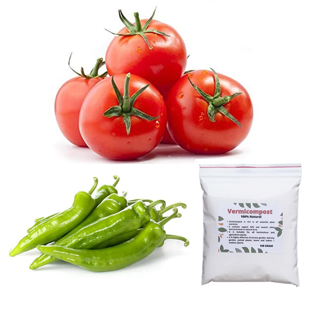 Combo Pack of Desi Tomato and Chilli ( 40 Quantity each ) Vegetable Seeds, Vermicompost (150 Gram) Vegetable Seeds and Organic Fertilizers for Home and Kitchen Garden-picture-32