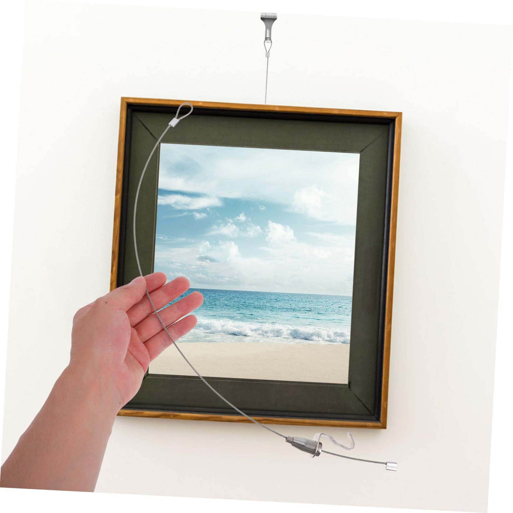 Ipetboom Ganchos Ajustables para Colgar Cuadros y Alambre de Acero Inoxidable, Sistema Riel para Marcos de Fotos, Kit de 10 Juegos para Uso en Pared, Resistente y Versátil para Decoración