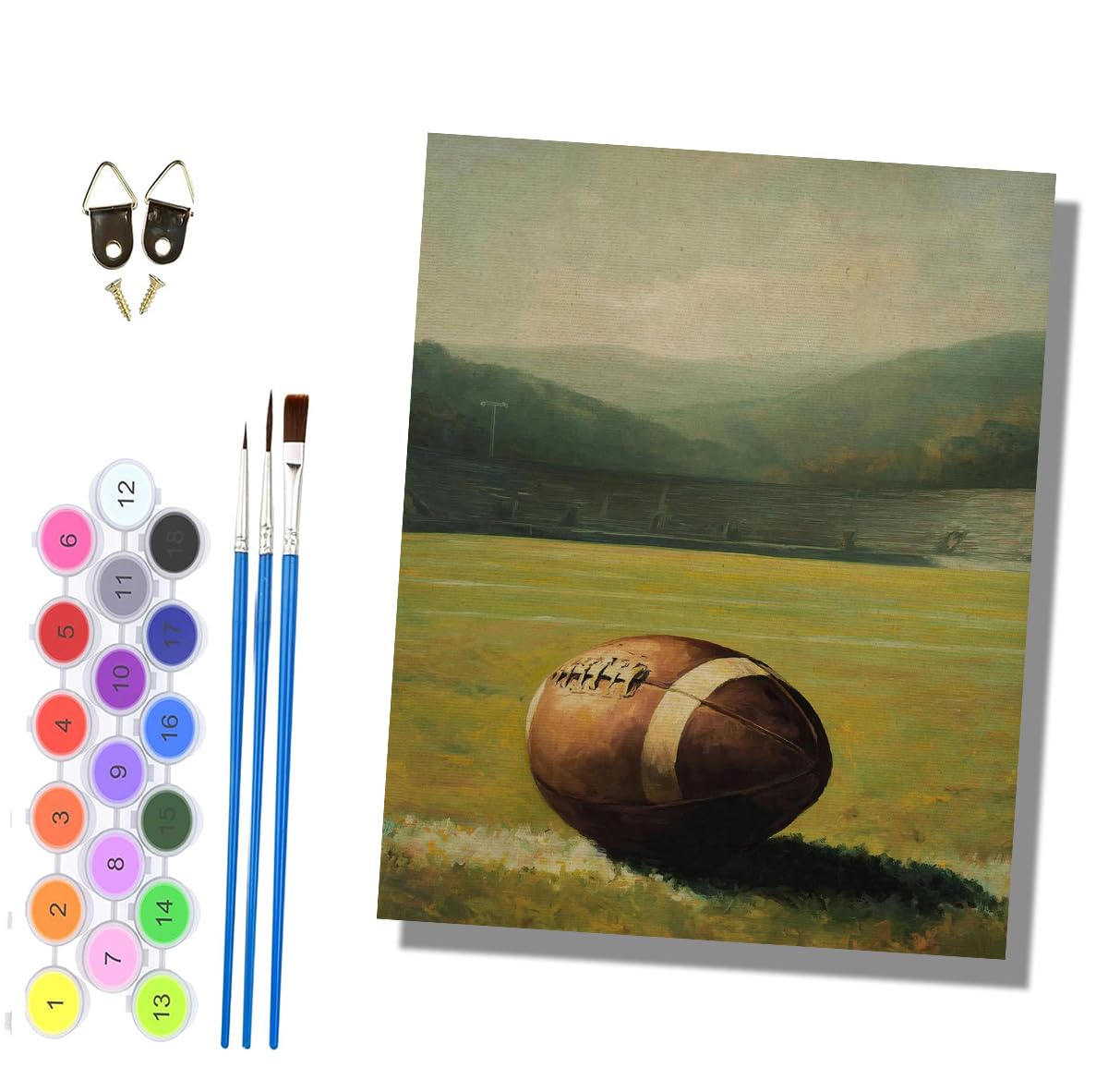 HONGPZH Paint by Numbers for Adults and Beginner Painting by Number Kits On Canvas Without Frame Painting Acrylic Paints Home Wall Decor 40x50cm/16x20in Rugby on the Field
