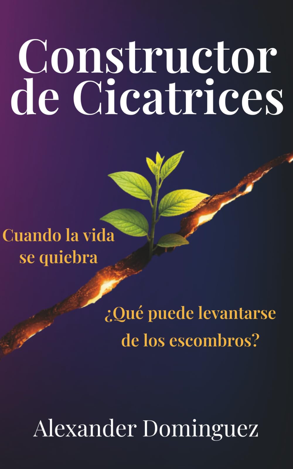 Constructor de Cicatrices: Cuando la vida se quiebra, ¿qué puede levantarse de los escombros?