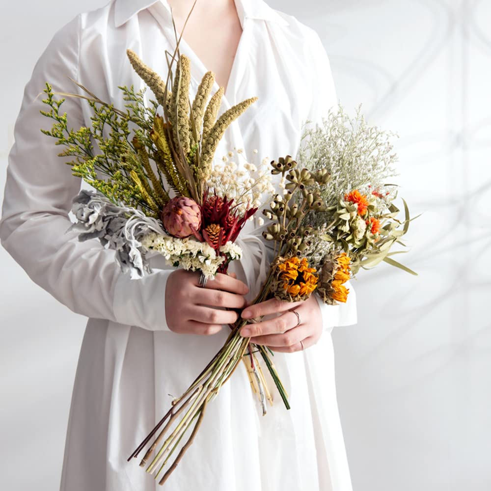 Amazon｜Winor ドライフラワー プリザーブドフラワ リード 干し花