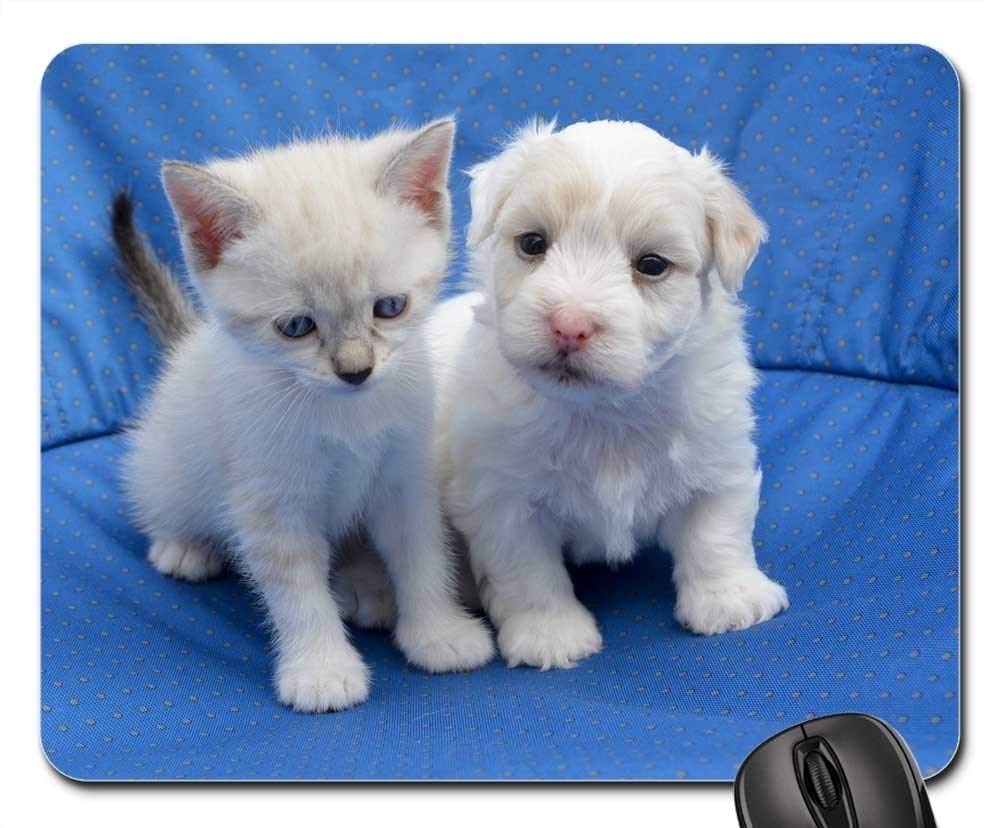 Gaming Mouse Pads,Mouse mat,Puppy Kitten Dog Cat Sweetness Domestic Animal