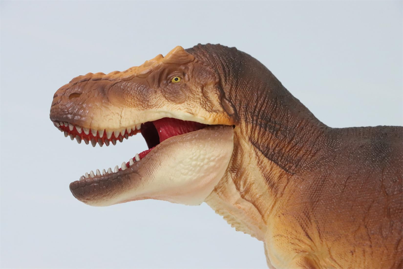Amazon | RECUR 1/35 ティラノサウルス レックス フィギュア 30cm級
