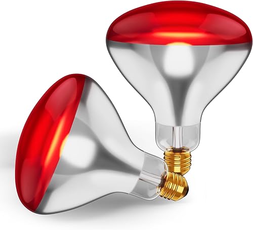 Miniatura 10 de 250R401 Reflector incandescente R40 de 250 vatios lámpara de cabeza transparente bombilla de inundación de calor base de rosca mediana estándar E26