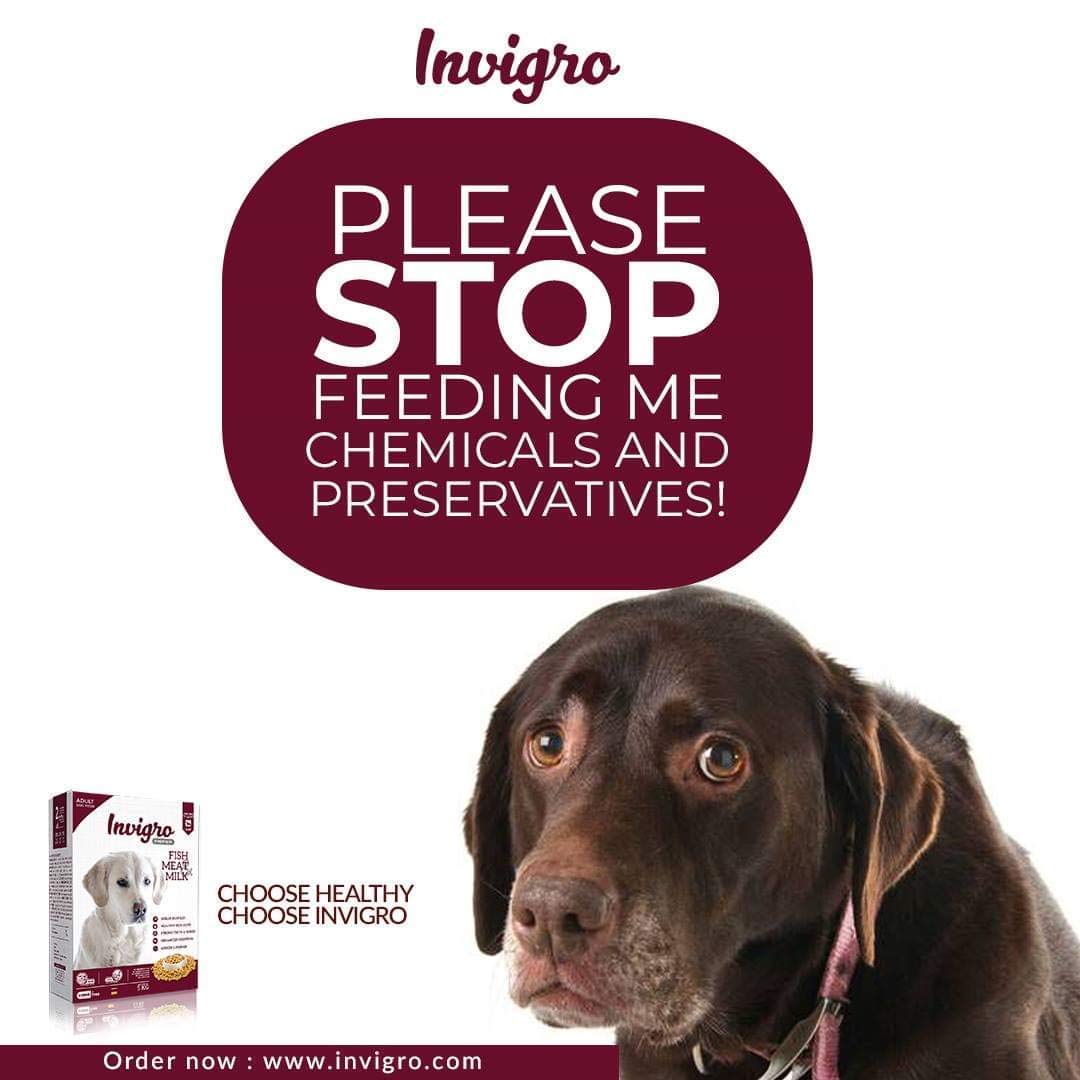 INVIGRO Puppy Chicken Fish Milk High Protein Dry Dog Food - (1.2 Kg) 4