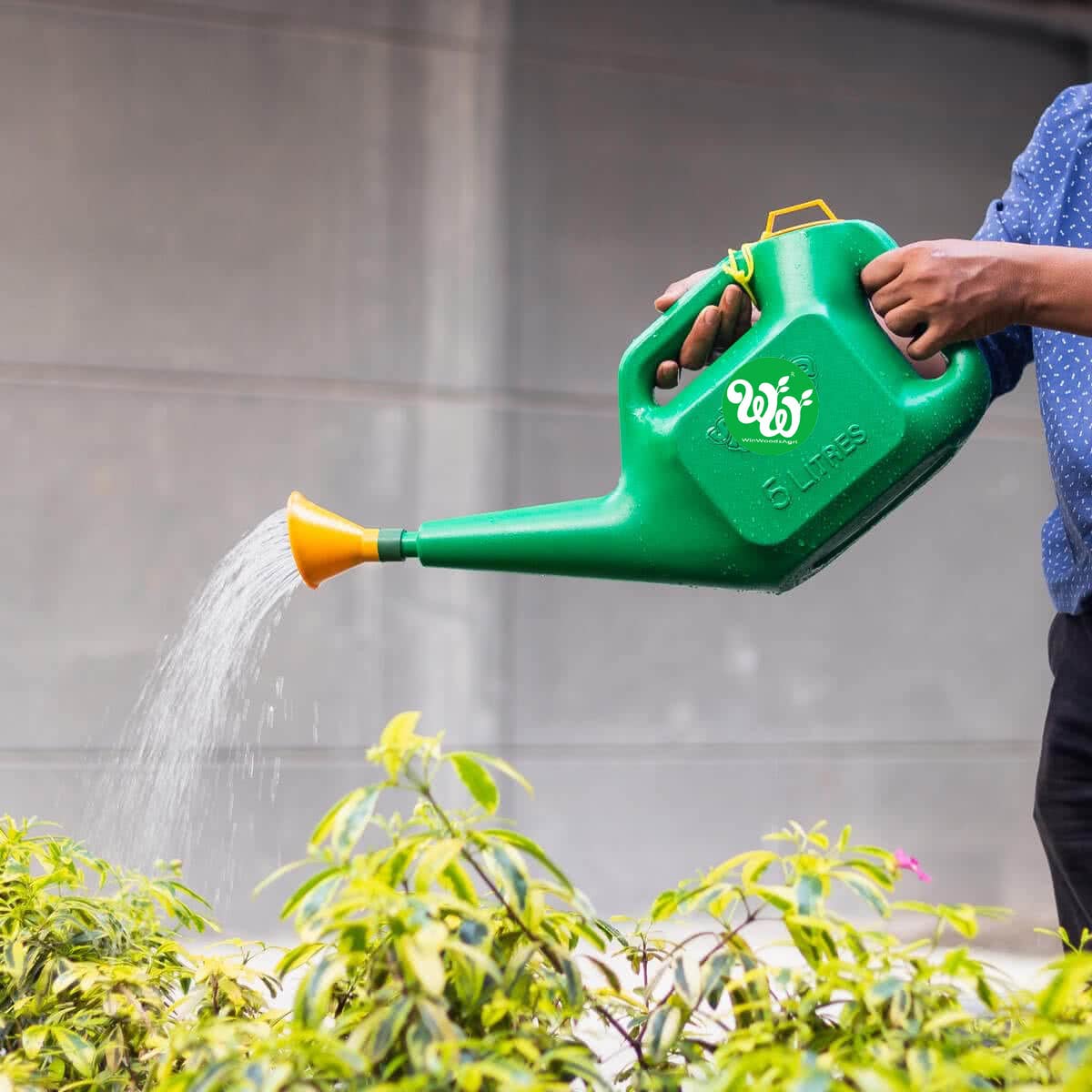 WinWoodsAgri Plastic Watering Can 5Liter for water sprinkler can/Gardening Sprayer, Sprinkler/poovali for Indoor and Outdoor Plants and Seed Germination 1pcs pack (B0B8MP2Y6X) Amazon Price History, Amazon Price Tracker