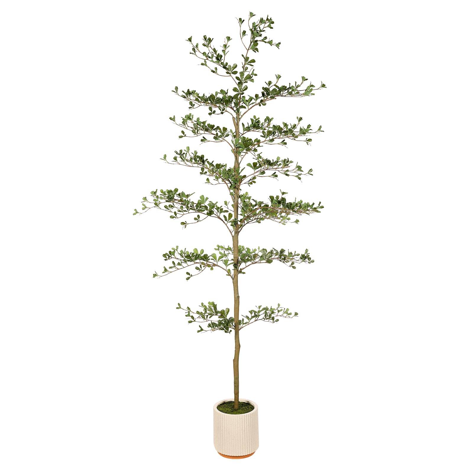 FEELEAD Olivier noir synthétique de 2,1 m – Arbre artificiel réaliste et ombragé de 2,1 m avec pot d'olivier noir artificiel avec branches naturelles et feuilles réalistes pour décoration de maison et