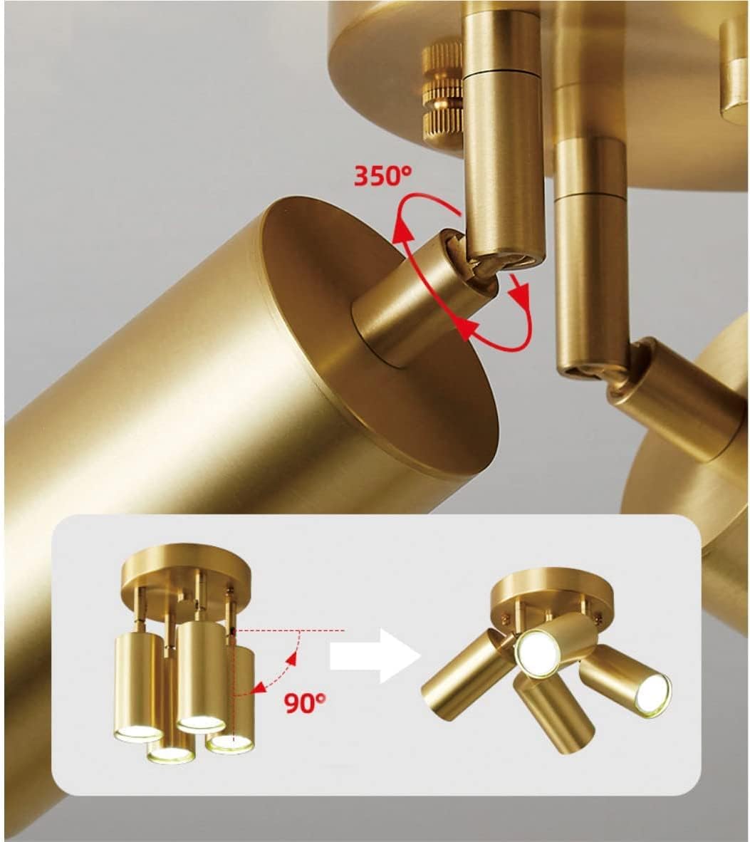 Modern 4-Light Adjustable Ceiling Spotlight Fixture, Brushed Brass Gold Finish, Directional Cylinder Heads, LED Compatible Indoor Lighting for Living Room, Kitchen, Hallway