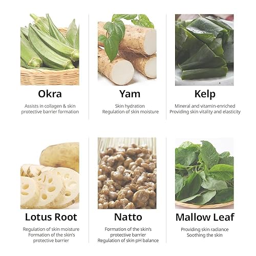 Miniatura 5 de META FORET Mucin 2x Crema reparadora intensiva de 1.76 onzas, 1.76 ozhidratante facial de día y noche para secar y sensible, hidratante, nutritiva,