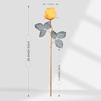 Kisflower Selyem Műrózsa Csomag - 10 db Sárga Hosszúszárú Művirág 52 cm, Élethű Dekoráció Esküvőre, Otthonba, Irodába 2