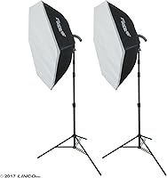 Vista 9 de LINCO Lincostore Flora LED 1860 * 2 luces de fotografía súper brillantes para fotografía, película y estudio de video iluminación AM161- Cena