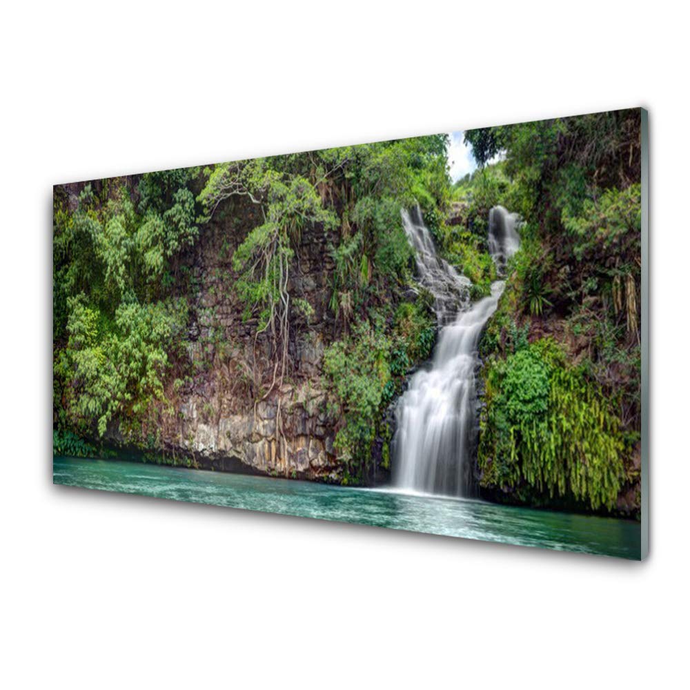 Impression sur verre acrylique 125x50cm Tulup décoration murale moderne plastique imprimé