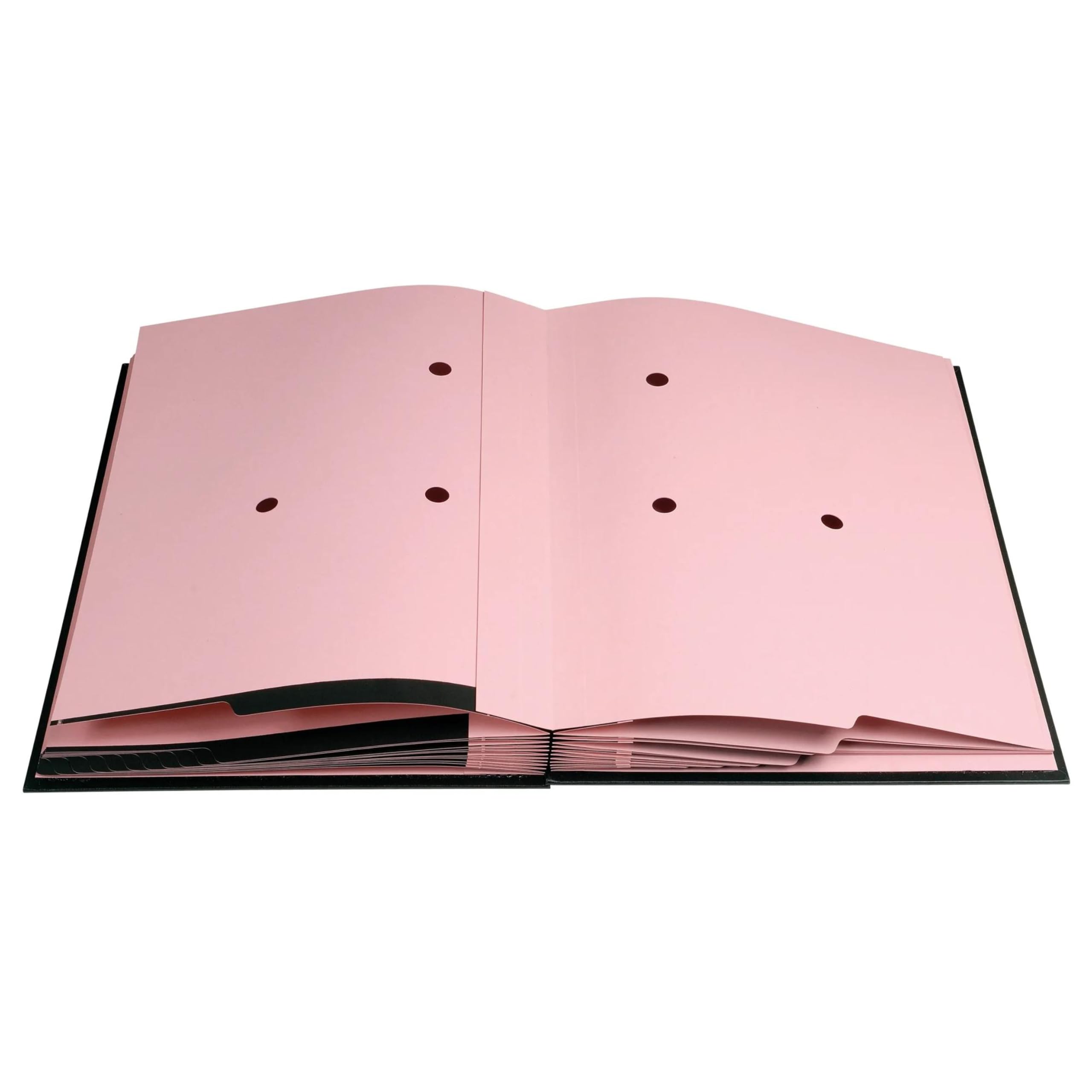 Exacompta - Rif. 57021E - Cartone di 8 paracolpi sterzo - retro a soffietto telato - porta etichetta - copertina plastificata - 20 scomparti in carta rosa con 3 perforazioni - 24 x 35 cm - nero