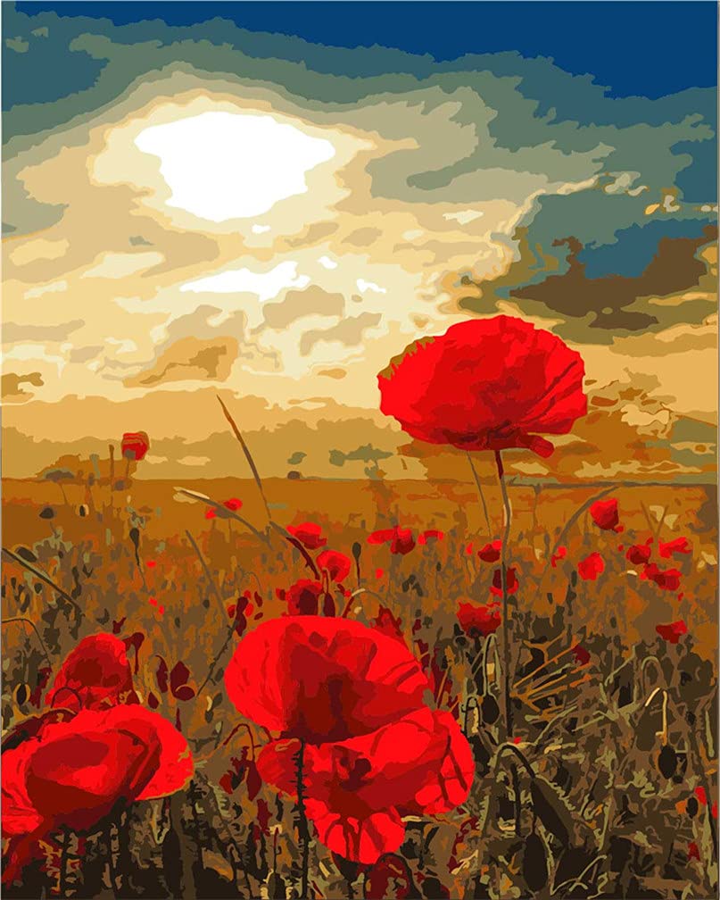 Meecaa Paint by Numbers Red Poppies Landscape Sunset Kit for Adults Beginner DIY Oil Painting 16x20 inch (Red Poppies, No Frame)