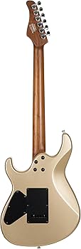 Amazon.com: Cort G300 Pro 6-String Electric Guitar Metallic Gold