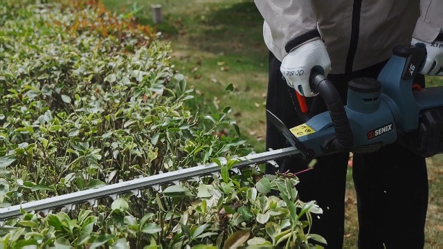 Amazon.com : SENIX X6 60V Max* Battery Powered 26