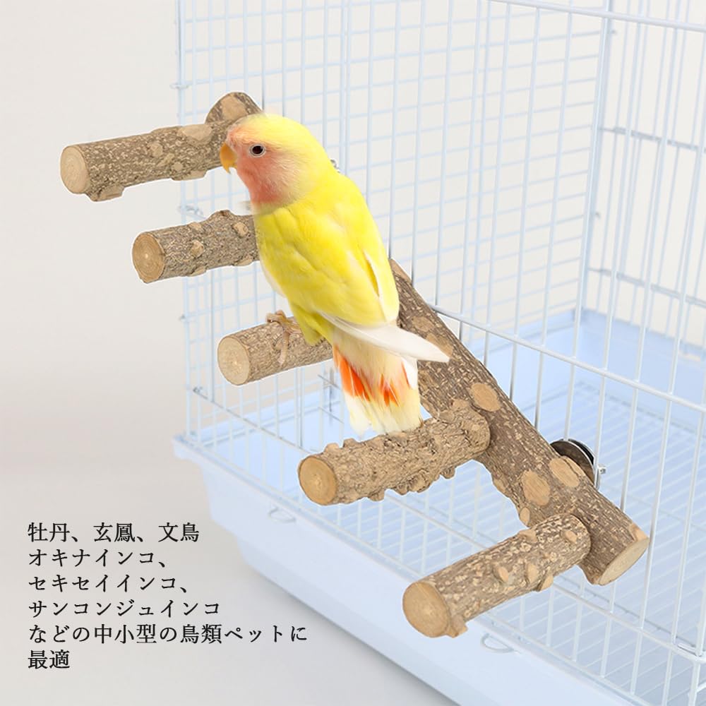 Amazon | Mikankawa 鳥 はしご 泊まり木 5階段 天然山椒木 鳥おもちゃ