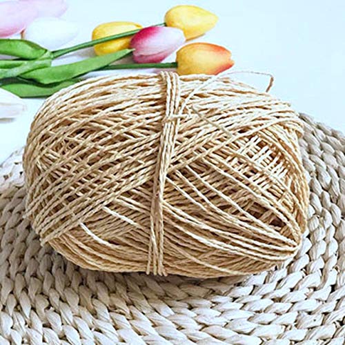 DINGM 100G/lot Hilo Orgánico para Tejer Rafia Paja Cuerda Hilado Sólido Crochet Hilado para DIY Hats Handcrafts