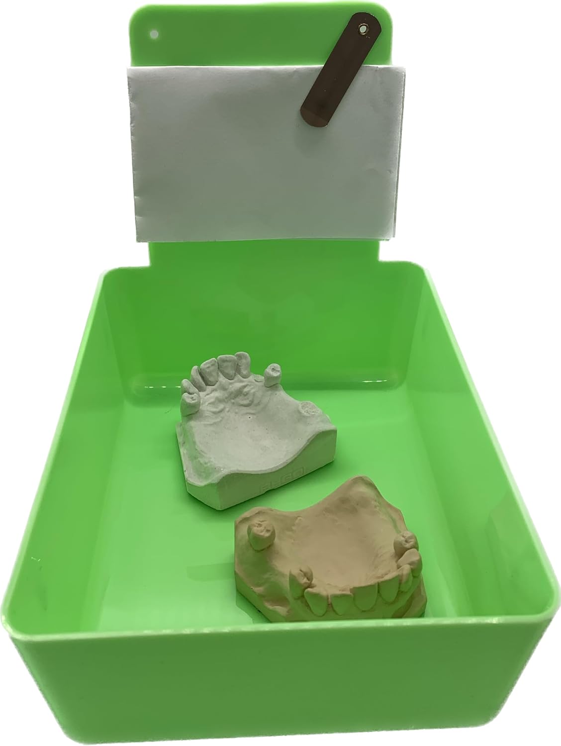 Dental Lab Pan Green 12/Box Quality Color Coded Organization