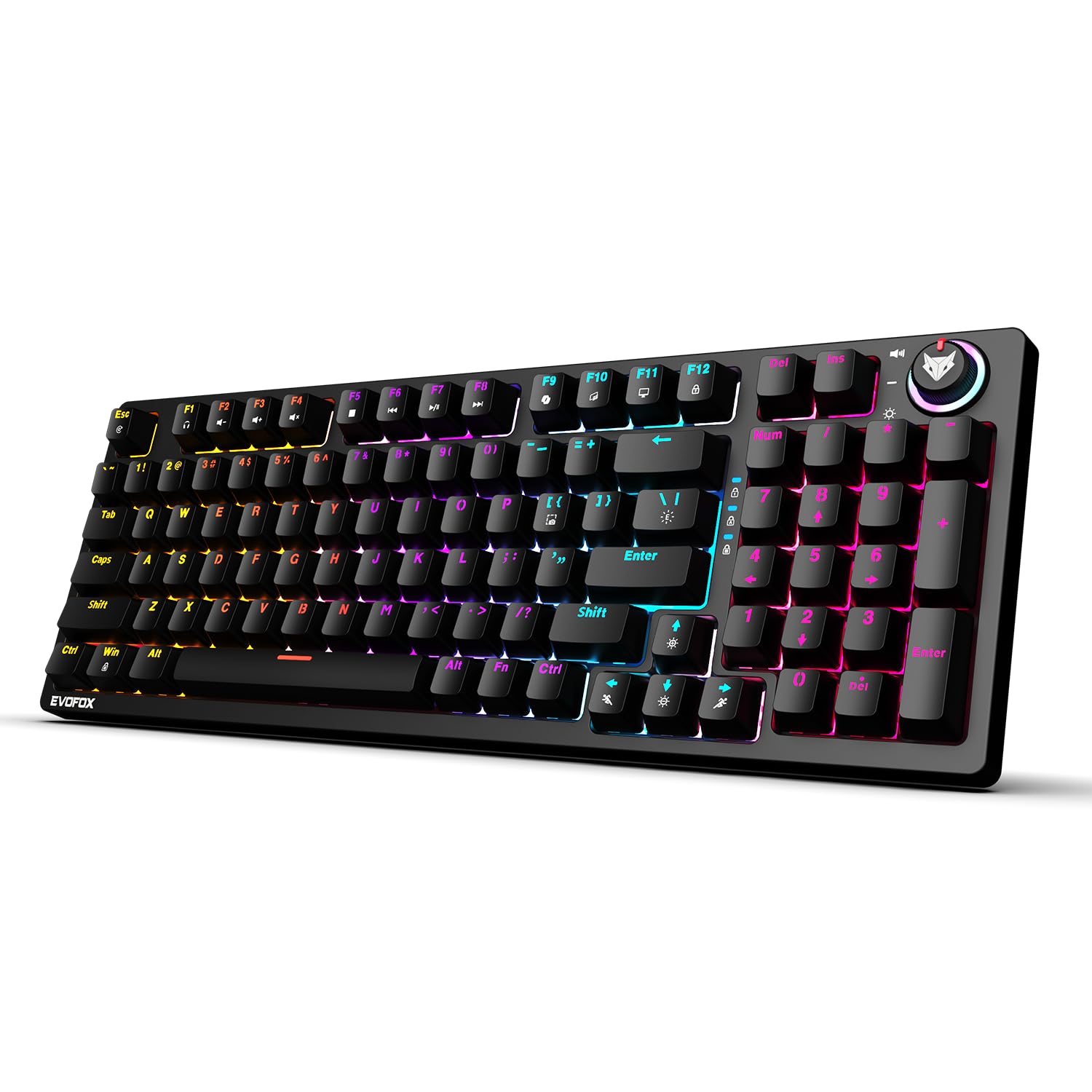 EvoFox Katana X2 FS Mechanical Gaming Keyboard | 3‑Pin Replaceable Clicky Blue Switches, Dynamic Backlighting, All Keys Anti‑Ghosting, Volume Knob, Copilot, Xbox Gamebar, Screenshot & More (Black)-image-6