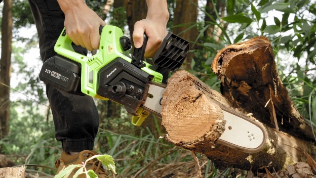 Tronçonneuse électrique Sans Fil Haedswer 12 Pouces - 2x4000mAh, Moteur Brushless 1500W, Graissage Auto